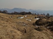 43 Vista sui pascoli della Baita Alta del Sornadello (1407 m)